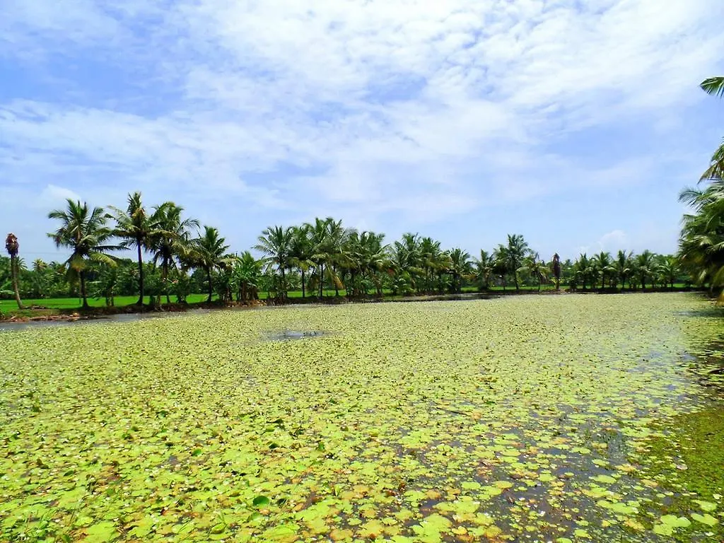 Eco Trails Houseboats Hotel Kumarakom