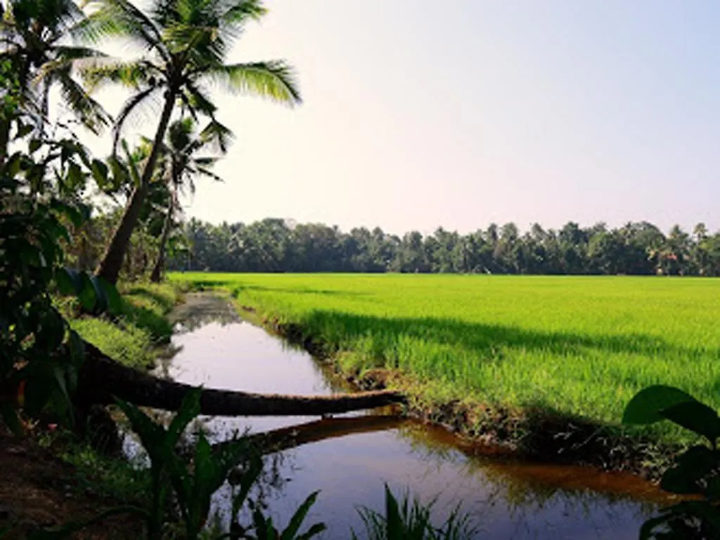 Eco Trails Houseboats Hotel Kumarakom Botel