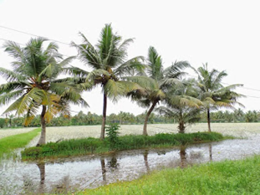 Eco Trails Houseboats Hotel Kumarakom Botel